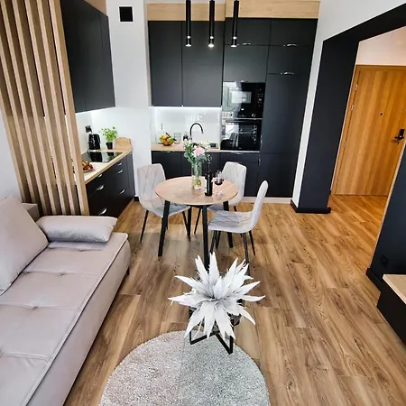 Black Butterfly By Housine Apartment *