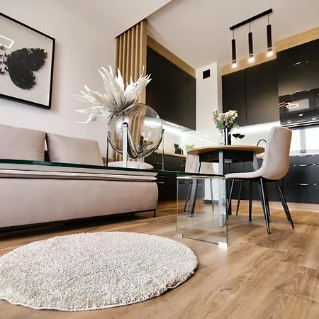 Black Butterfly By Housine Apartment
